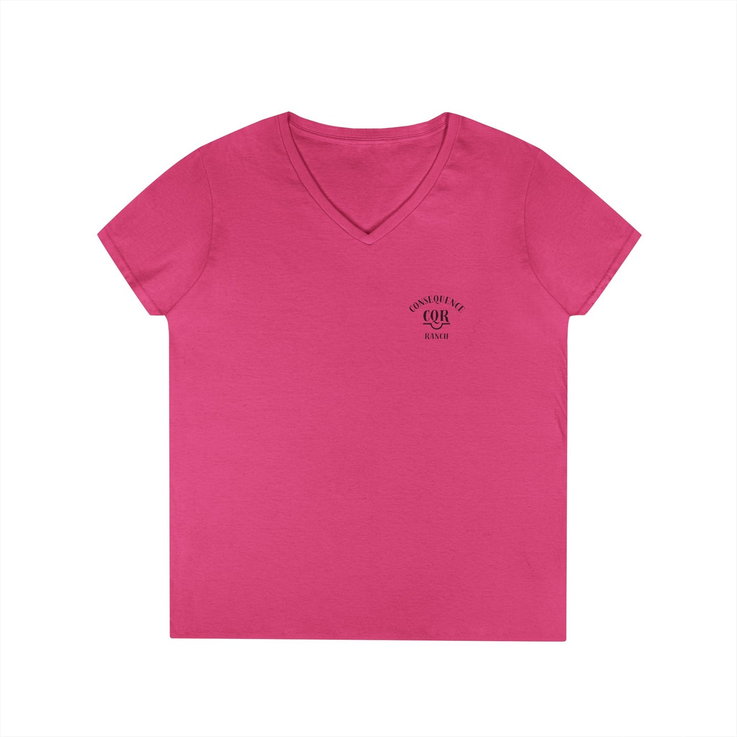 Ladies' V-Neck T-Shirt